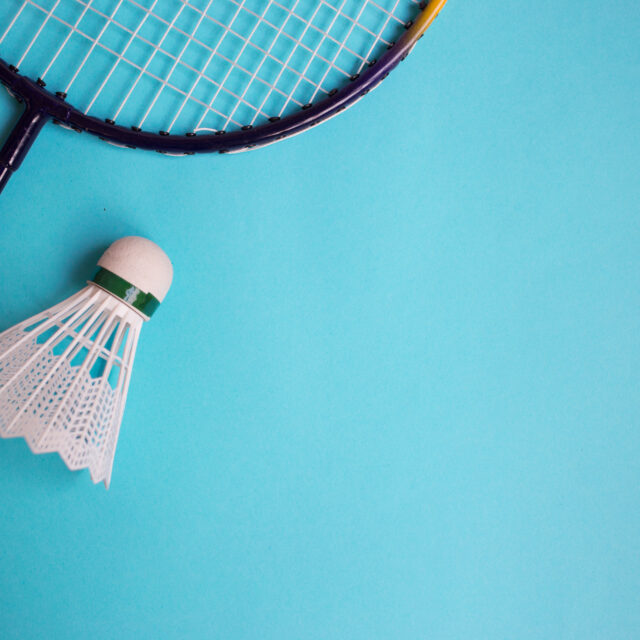 Sulkapallomaila ja sulkapallo