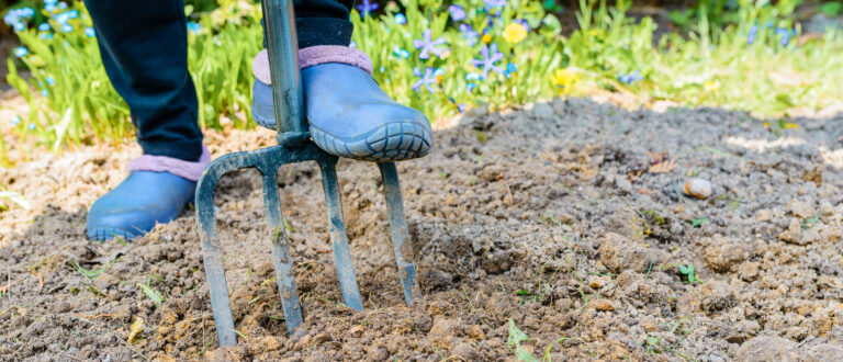 Person gräver med trädgårdsgaffel