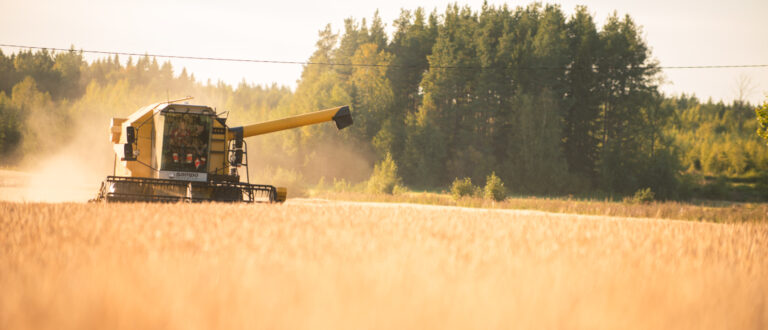 En gul tröska på en åker