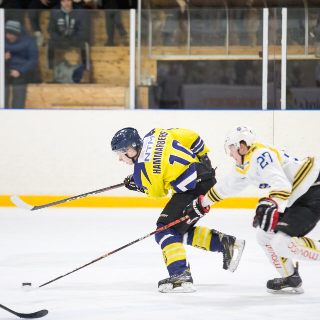 Två ishcokeyspelare på isen