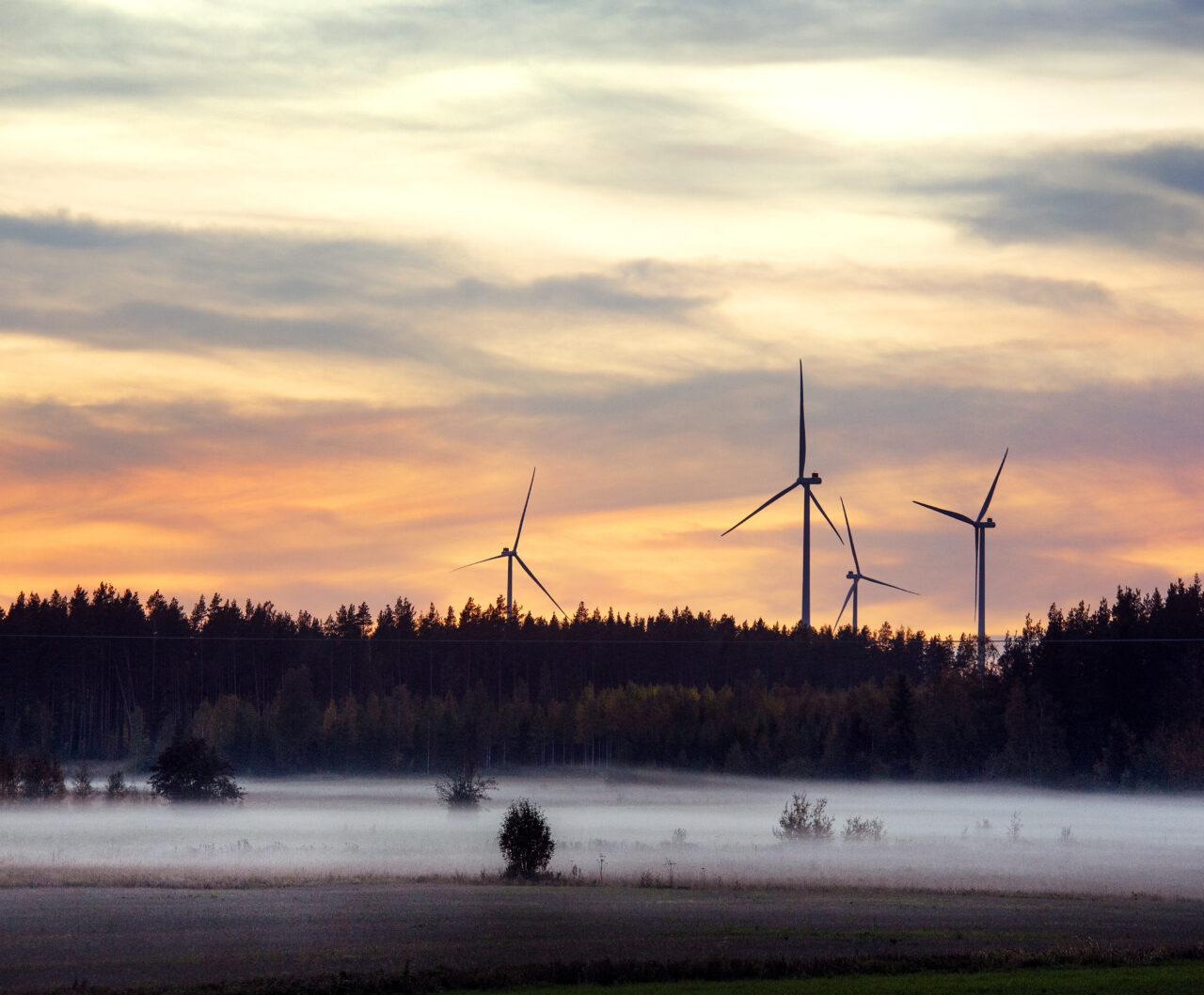 Välkommen till Närpes stad Närpes stad / Närpiön kaupunki