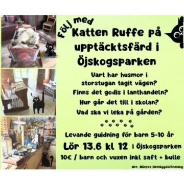 Evenemangets bild: Katten Ruffe på upptäcktsfärd i Öjskogsparken