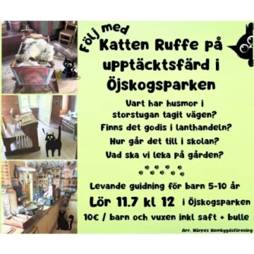 Evenemangets bild: Katten Ruffe på upptäcktsfärd i Öjskogsparken